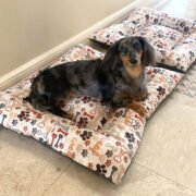 CUCHITA CRUDO CON MOTIVOS - Image 2